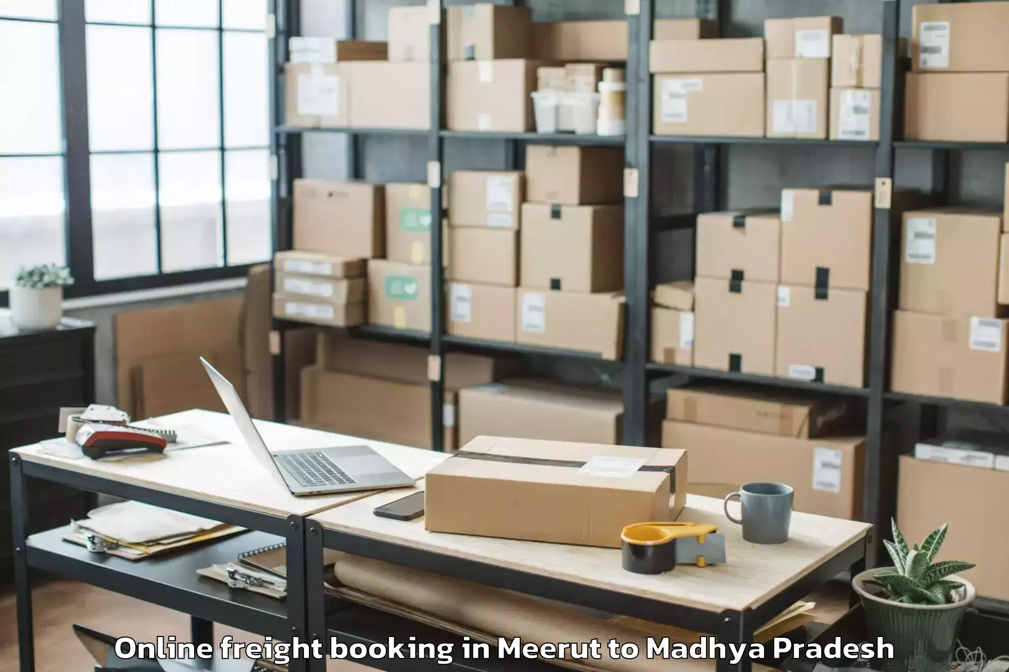 Top Meerut to Parasia Online Freight Booking Available